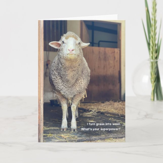 5"x7" Folded Card || Marshmallow (Front)