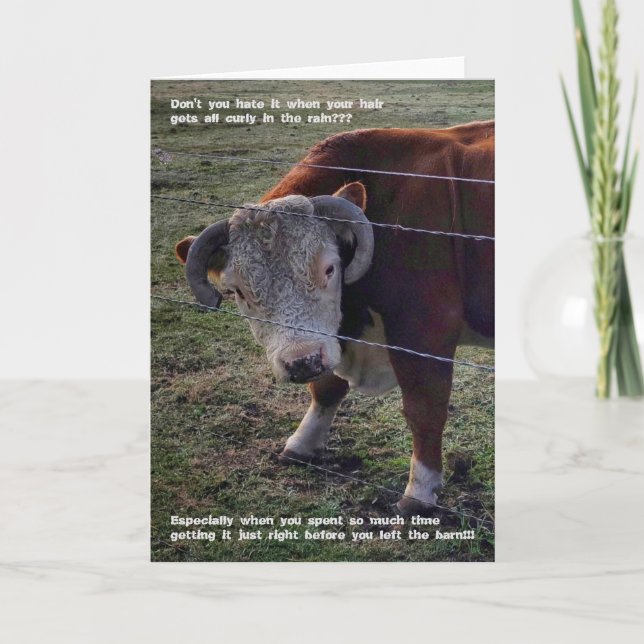 5"x7" Folded Card || Popeye Morning ‘Do (Front)