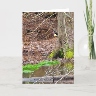 5"x7" Folded Card || Shy Wood Duck