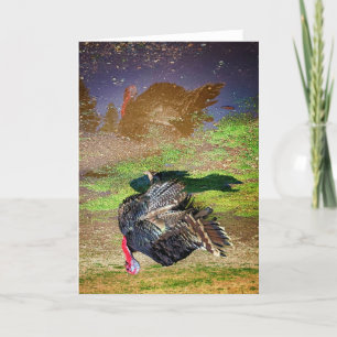 5"x7" Folded Card Thomas in the Puddle