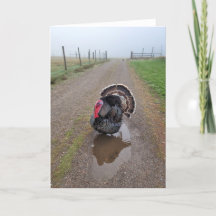 5"x7" Folded Card || Turkey in the Fog