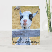 5"x7" Folded Card || Unfriended Goat