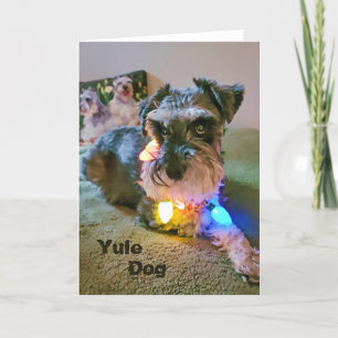 5"x7" Folded Card Yule Dog