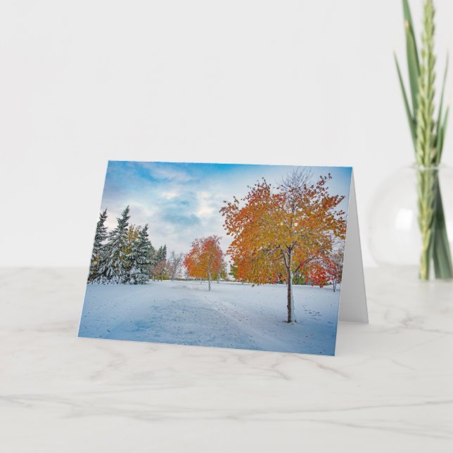 5 x 7 Blank Note Card Set (Front)