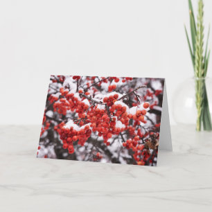 5 x 7 Blank Note Card Set