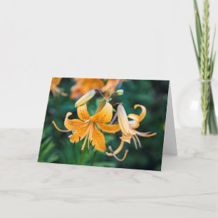 5 x 7 Blank Note Card Set
