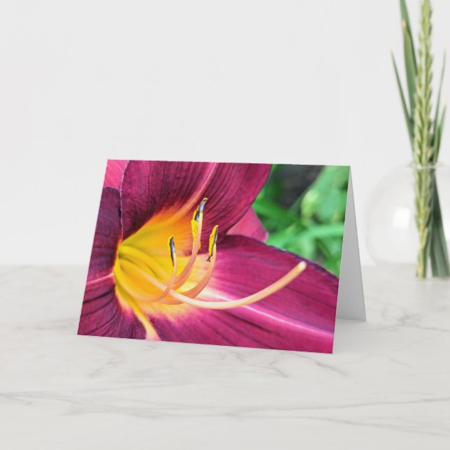 5 x 7 Blank Note Card Set (Front)