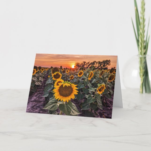 5 x 7 Blank Note Card Set (Front)