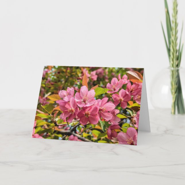 5 x 7 Blank Note Card Set (Front)