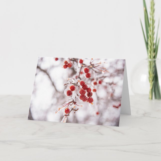 5 x 7 Blank Note Card Set (Front)