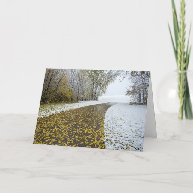 5 x 7 Blank Note Card Set (Front)