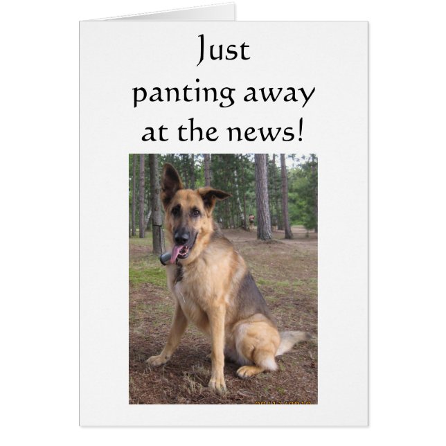 5Oth PANTING AWAY AT THE NEWS (Front)