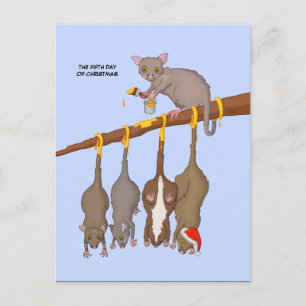 5th Day of Christmas (5 Golden Rings)  Postcard