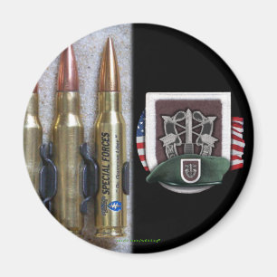 5th special forces group flash crest iraq magnet