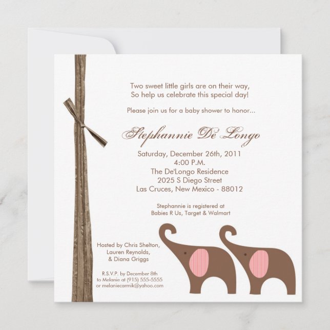 5x5 Twin Girl Shower Invitation (Front)