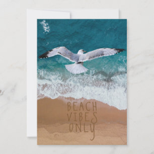 5x7 Beach Vibes Only Seagull Seashore Beach Art
