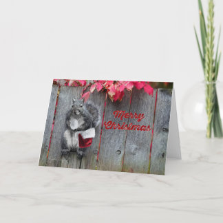 5x7 Christmas card featuring Mr. Squirrel