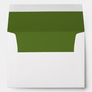 5x7 Envelope Option 2 Japanese Green Bonsai Tree