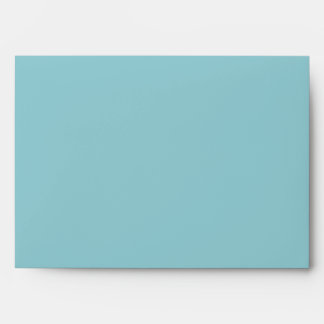 5x7  Envelope Option 3 Ocean Beach Shore Seashells
