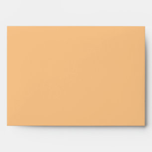 5x7 Envelope Option 4 Love Birds Peach Stripes