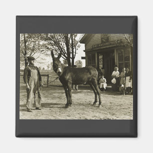 5x7 GLASS NEGATIVE  Milwaukee Mule Magnet