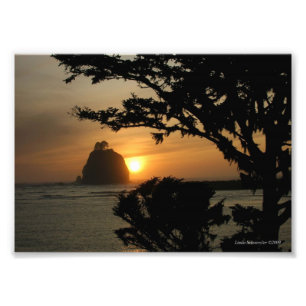 5X7 La Push, Washington Photo Print