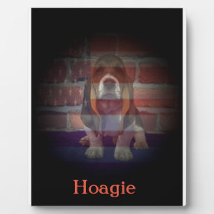 5x7 with Easel Plaque