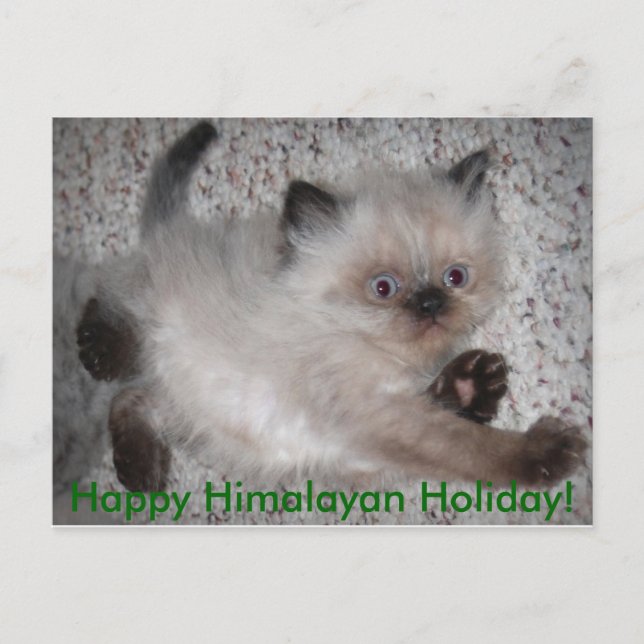 5x7zazzle, Happy Himalayan Holiday! Holiday Postcard (Front)
