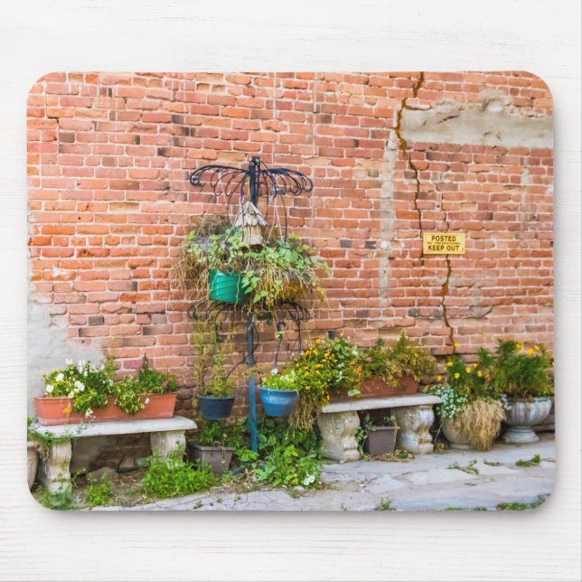 6090-Brick Wall with Plants Mouse Pad (Front)