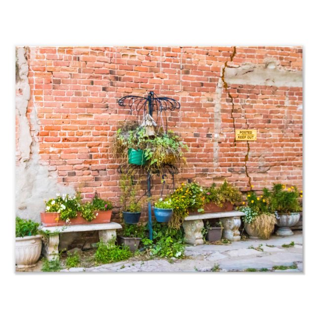 6090-Brick Wall with Plants Photo Print (Front)