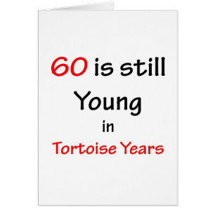 60 Tortoise Years