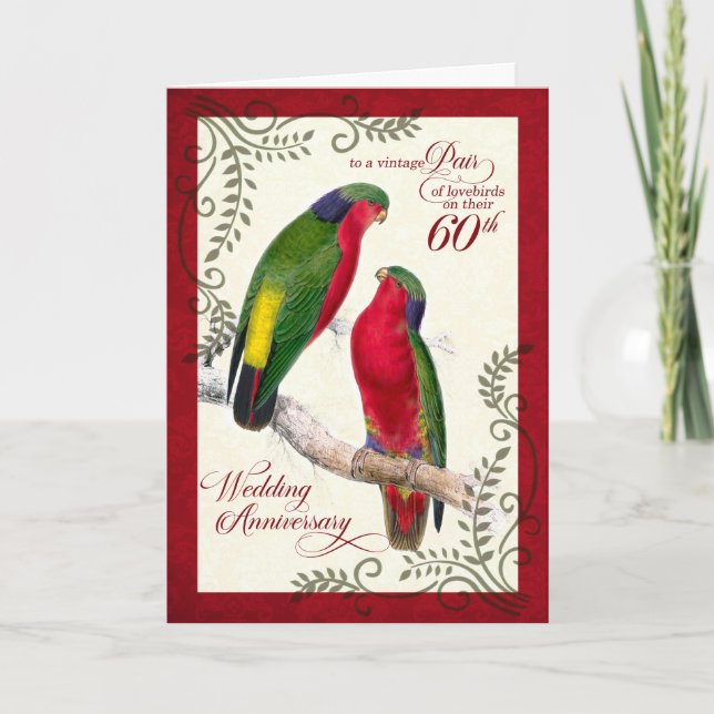 60th Anniversary Vintage Lorikeet Parrots Card (Front)
