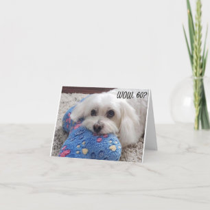 *60th BIRTHDAY* HA HA HA (FUNNY DOG HUMOR) Card