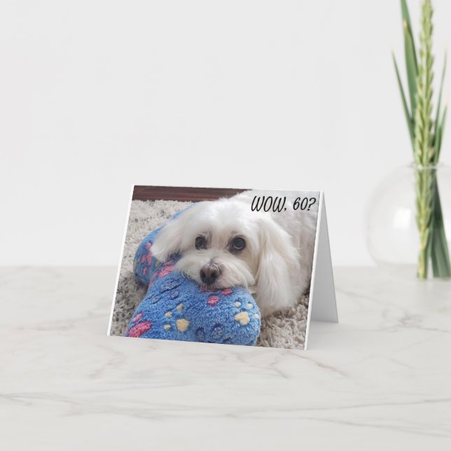 *60th BIRTHDAY* HA HA HA (FUNNY DOG HUMOR) Card (Front)