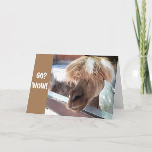 **60th BIRTHDAY** HAVE A HARD TIME BELIEVING IT! Card