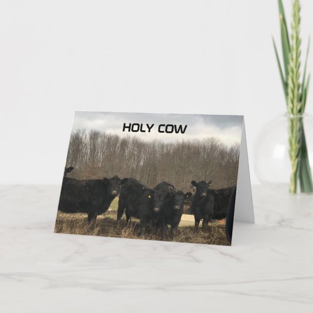 **60th** BIRTHDAY "HOLY COW" Card (Front)