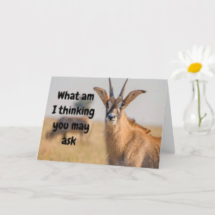 "60th BIRTHDAY HUMOR VIA ANTELOPE Card