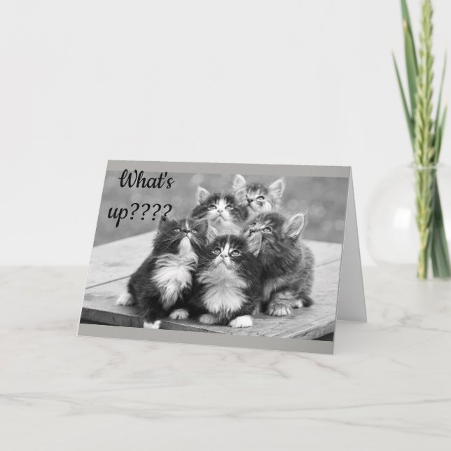 *60th BIRTHDAY WISHES* WHAT'S UP? YOUR AGE! Card (Front)