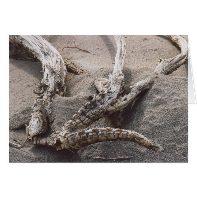 61. Wooden Antler Rack (Front Horizontal)