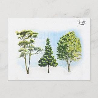 63; Australian trees Postcard