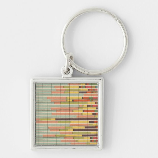 64 Proportion leading nationality by cities Key Ring (Front)