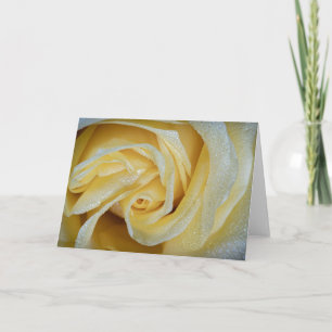 6557-Yellow Rose with Dew Card