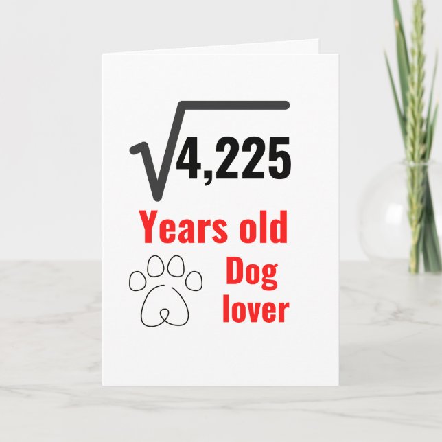 65 Year Old Dog Lover Funny Happy Birthday Holiday Card (Front)