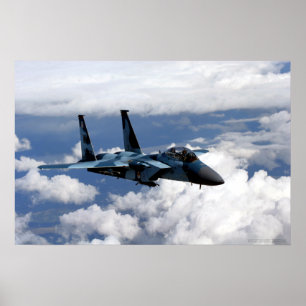 65th Aggressor Squadron F-15 Eagle Poster