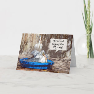 65th Birthday Pelicans Humour   Card