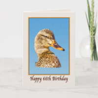66th Birthday Card with Mallard Duck