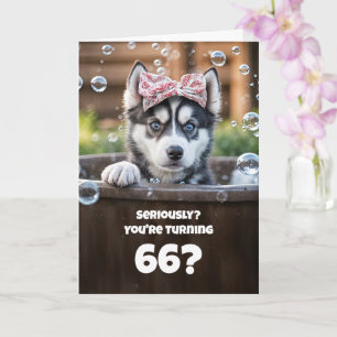 66th Birthday Cute and Funny Husky Dog Spa Card