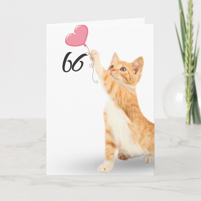 66th birthday tabby cat card (Front)
