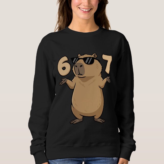 67 Capybara Meme 6 7 Aesthetic for Kids Young Adul Sweatshirt (Front)