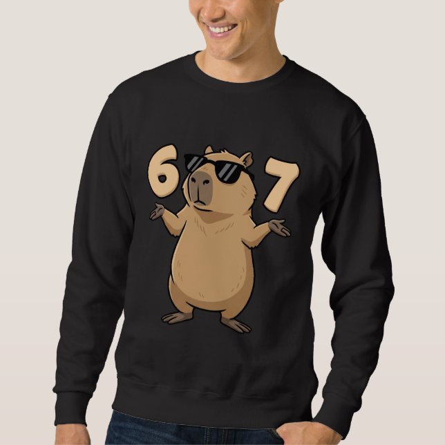 67 Capybara Meme 6 7 Aesthetic for Kids Young Adul Sweatshirt (Front)